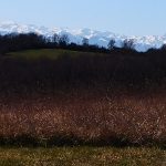 IMG_20220220_123459